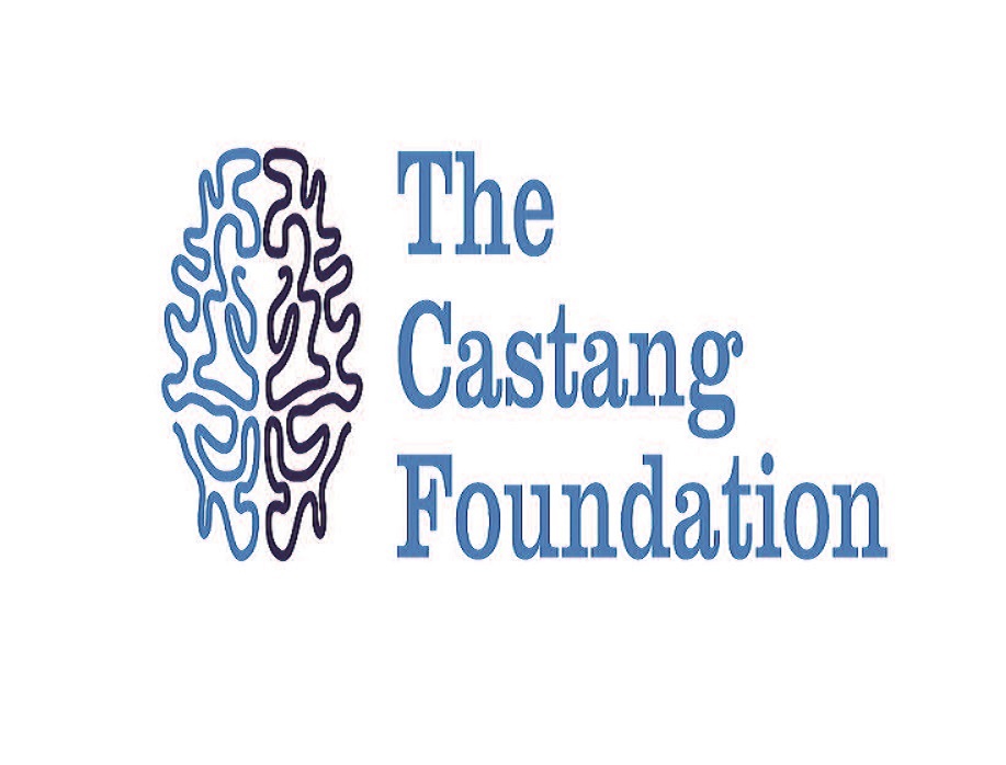 H AND M CASTANG CHARITABLE TRUST