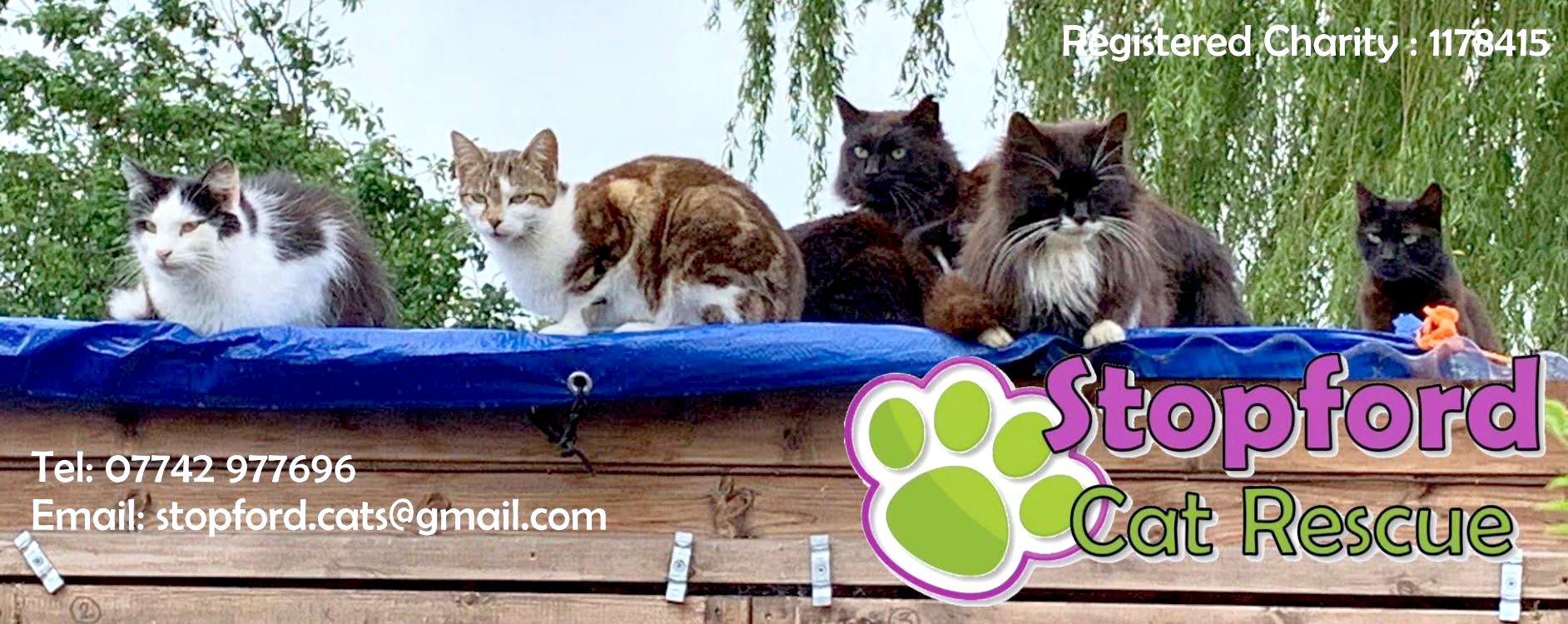 STOPFORD CAT RESCUE