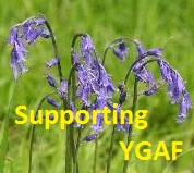 THE BLUEBELL TRUST